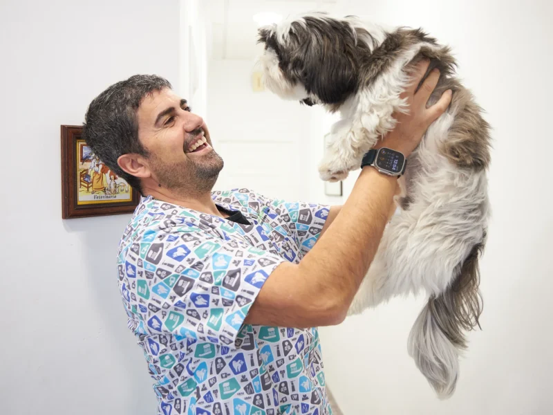 animalons-clinica-veterinaria-omar-veterinari-gos