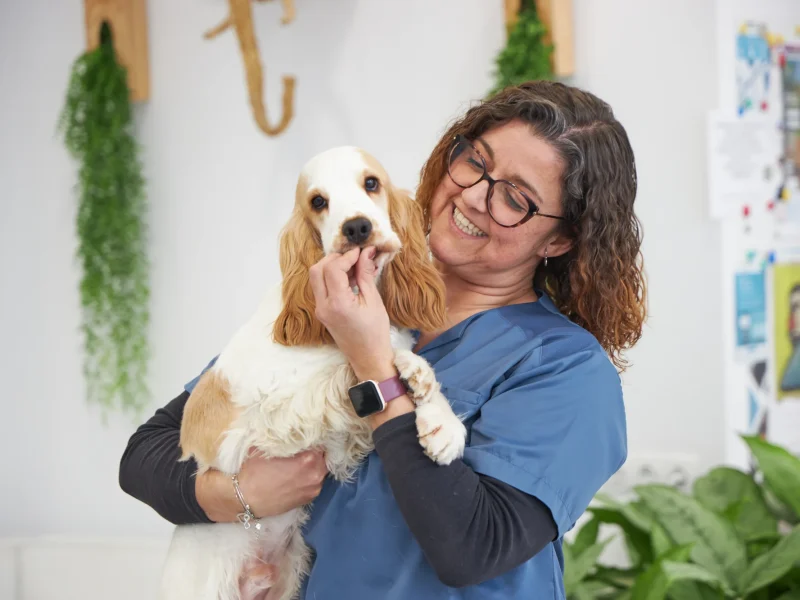 animalons-clinica-veterinaria-ulldecona32