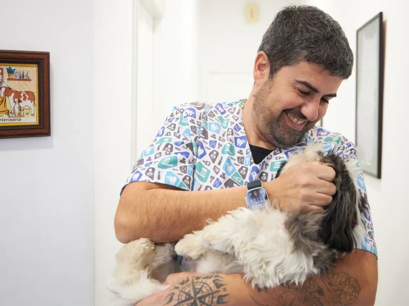 clinica-veterinaria-animalons