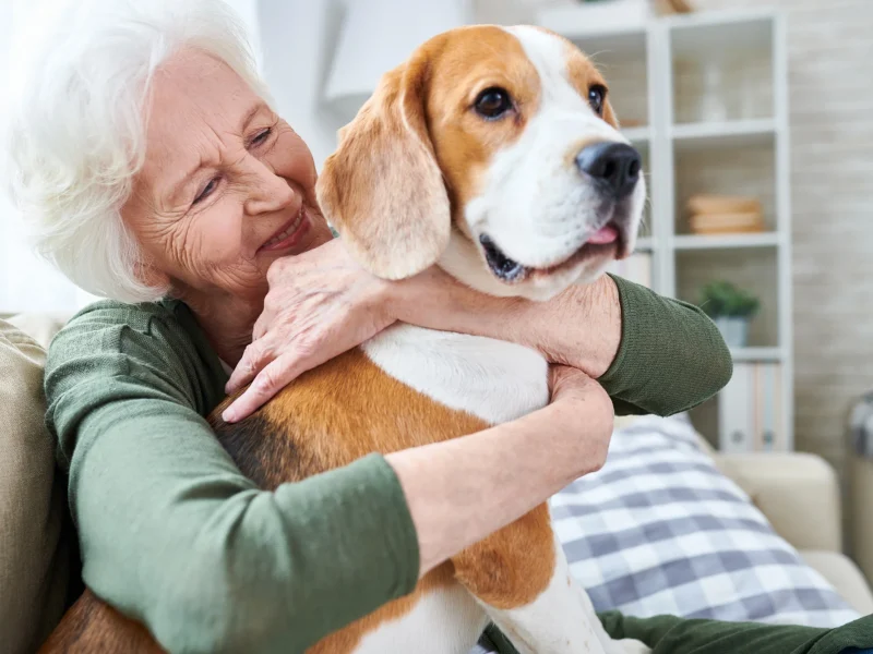 mujer-anciana-abraza-perro-beagle