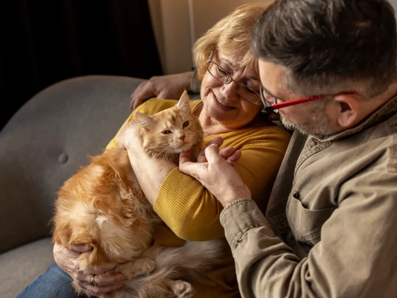 pareja-mayor-abraza-gato